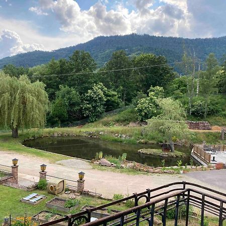 Aux Gites De L'Etang - Thannenkirch Bergheim 외부 사진