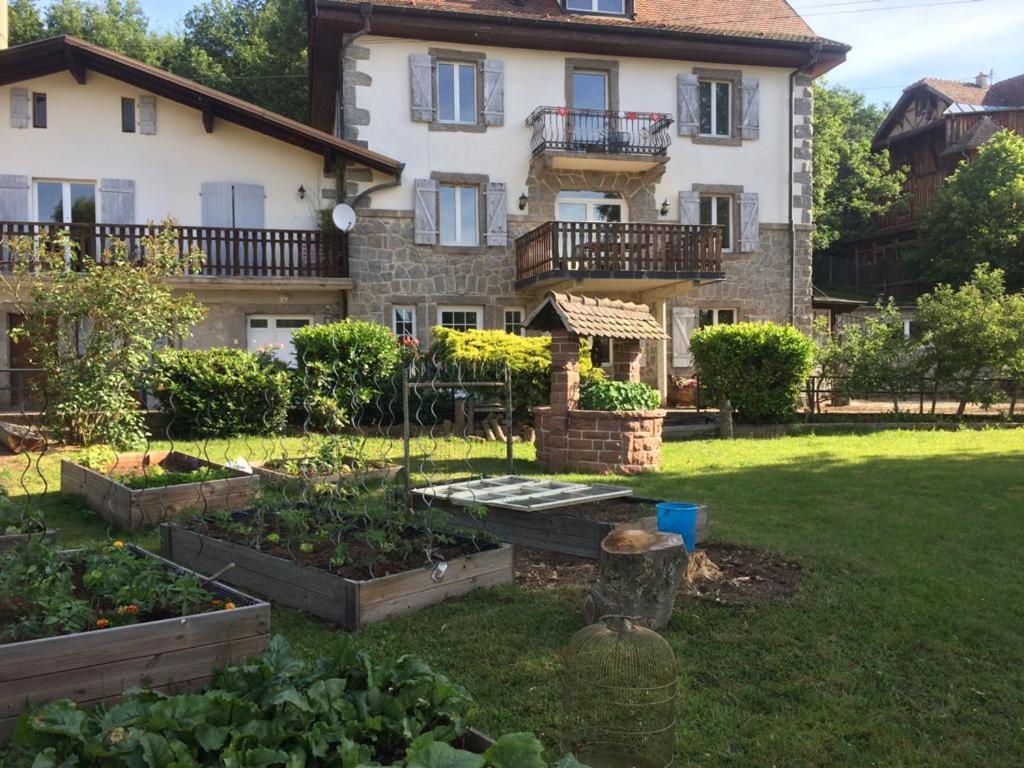 Aux Gites De L'Etang - Thannenkirch Bergheim 외부 사진