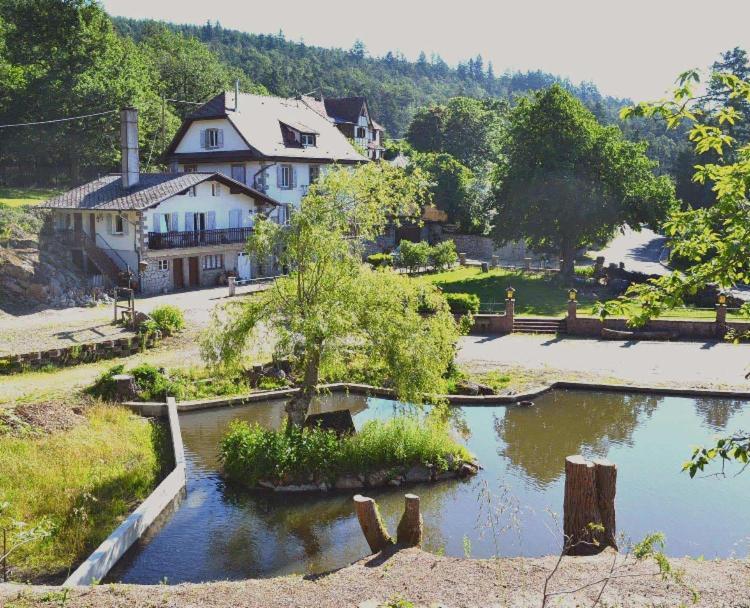 Aux Gites De L'Etang - Thannenkirch Bergheim 외부 사진
