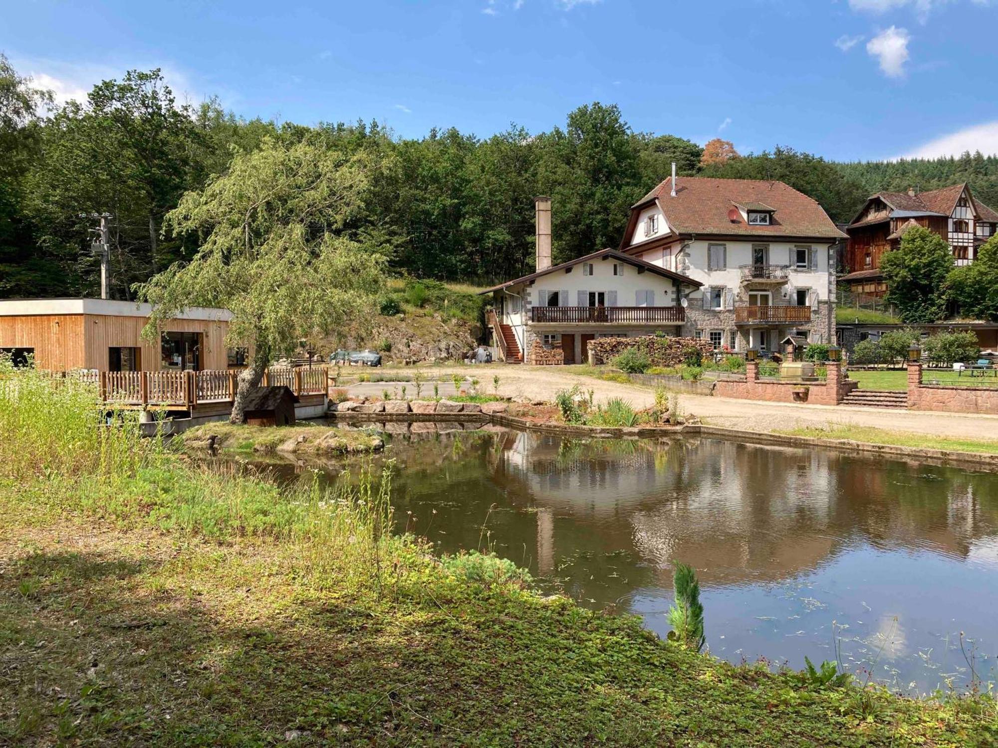Aux Gites De L'Etang - Thannenkirch Bergheim 외부 사진